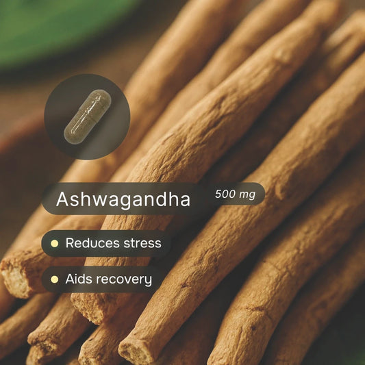 Focus QuickPack™ (C)