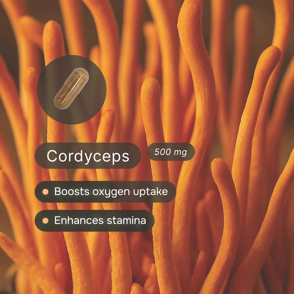 Endurance QuickPack™ (C)