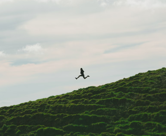 Performance Nutrition Concierge