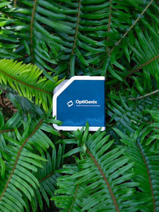 Focus QuickPack™ (C)